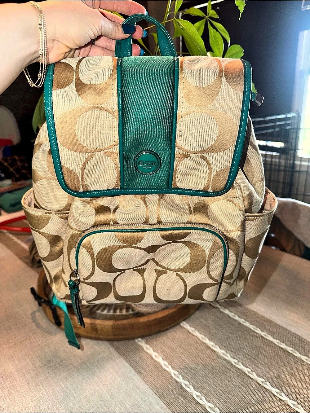 Coach 2013 Signature Backpack in Green & Brown
